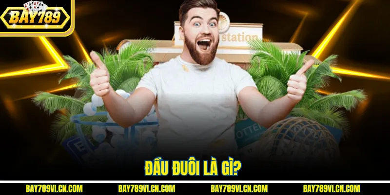 Đầu đuôi là gì?